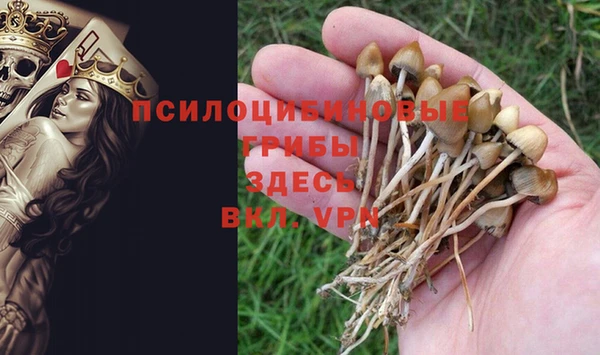 кокс Верея